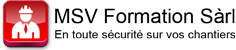 msv-formation-logo